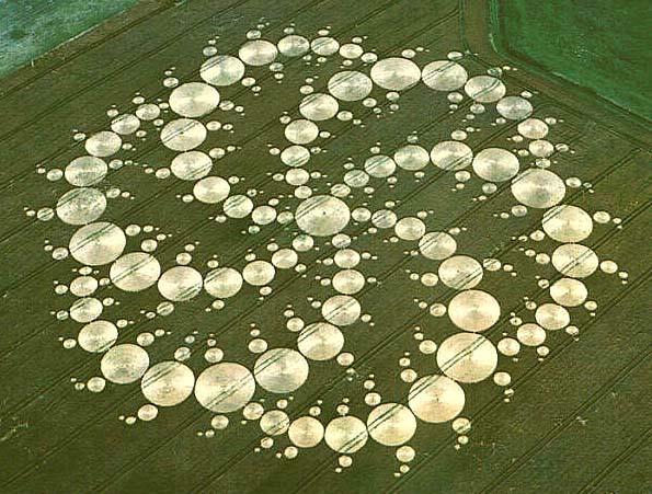 New Earth Nation / Crop Circles