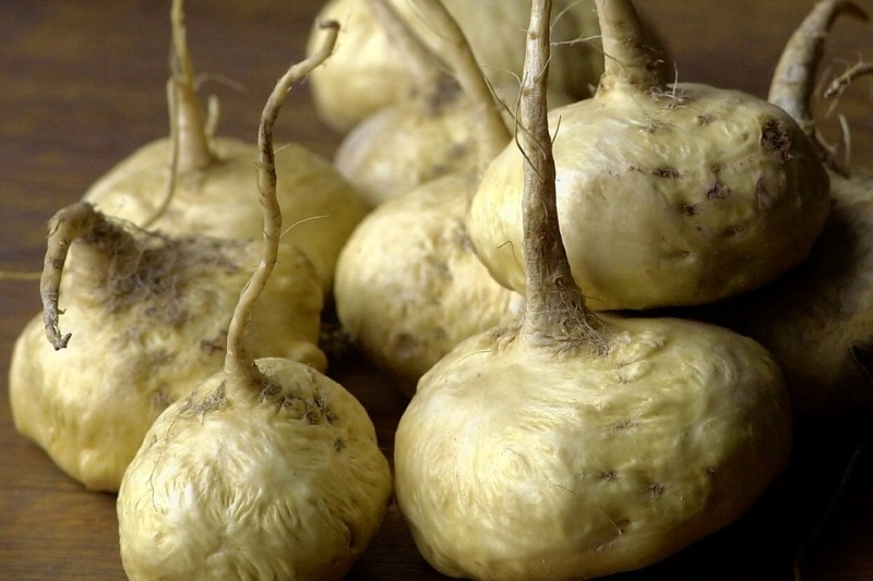 This Superfood Could Replace Caffeine & Viagra: Meet The Maca Root