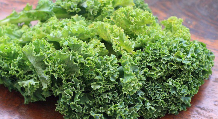 14 Things Everyone Should Know About Kale