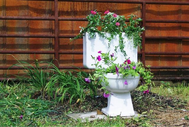 Composting Toilets Emerge as Viable Alternatives