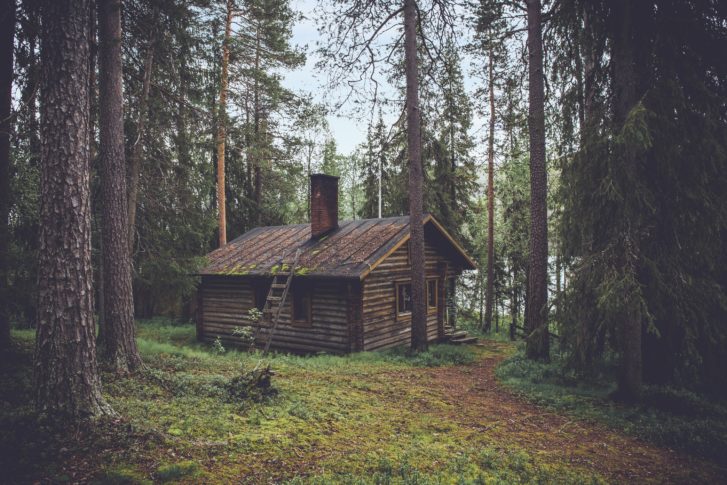 Building a Cabin