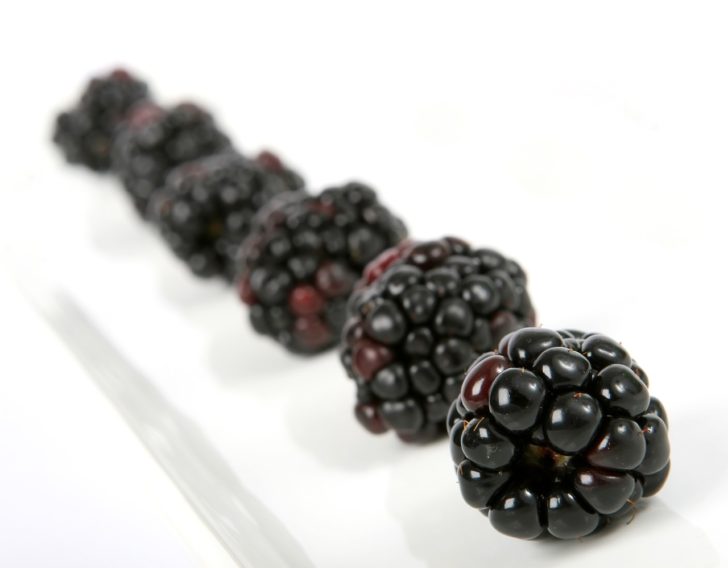 Andanthocyanins from Black Raspberries Demonstrate Powerful Cancer Fighting Power