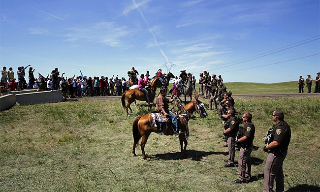 Veterinarian Drove 900 Miles To Help Injured Horses At Standing Rock