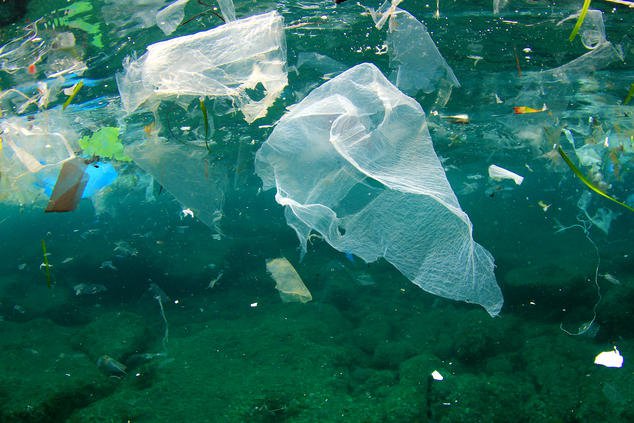 Recycled Ocean Plastic Could Be the Building Block of Our Future