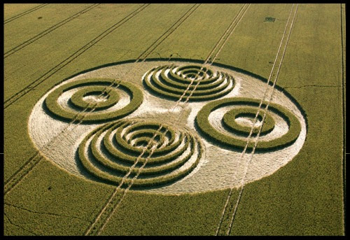 crop-circle