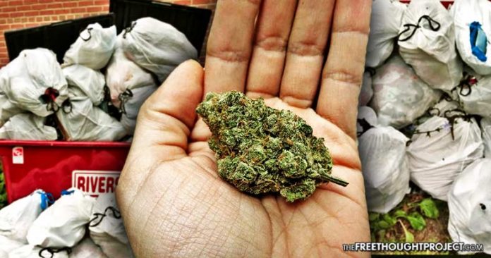 Dispensary Gives Away Free Weed For Cleaning Up Trash — Community Spotless