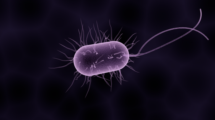 Gut Bacteria Triggers Physical Illness and Psychological Disorders