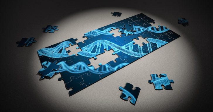 Genes and Genetic Testing – The Revealing Truth