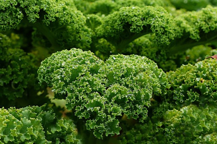 Is Kale Your Friend or Foe?