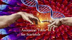 NEU-Image-Ascension-Starseeds