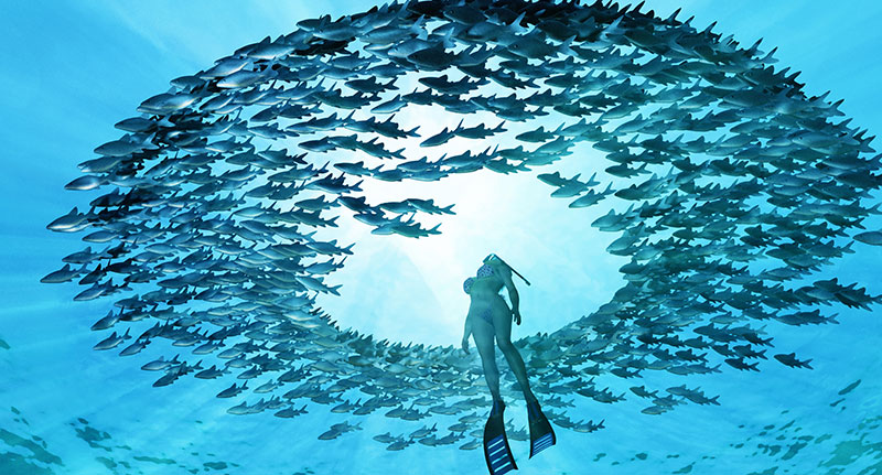 girlfishschool