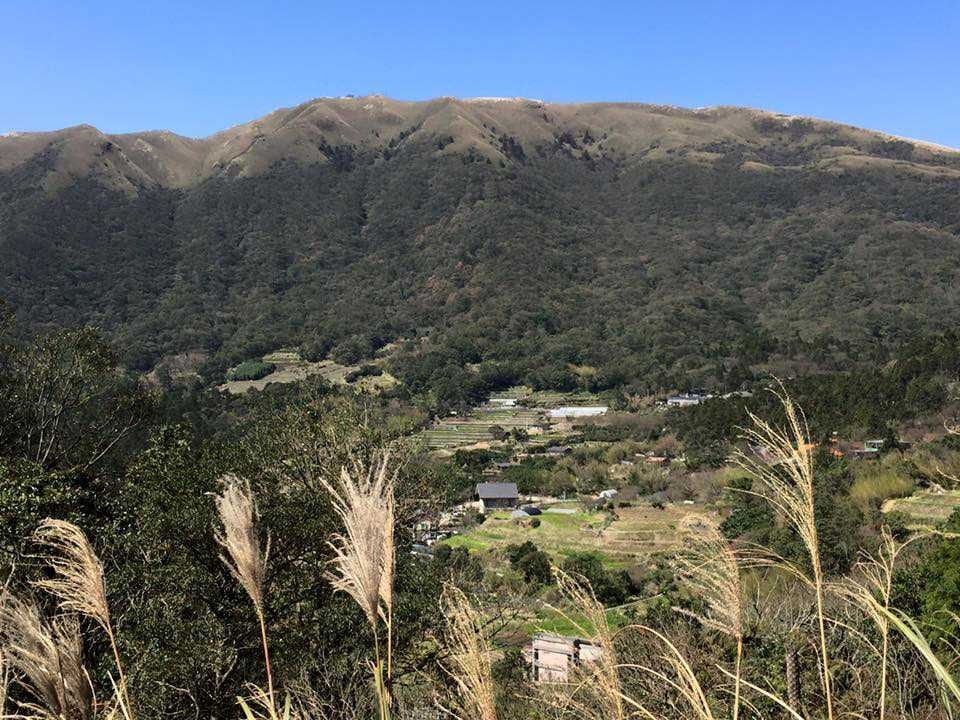 竹子湖於 2019 年成為臺北市第三個休閒農業區。 （圖/臺北市政府產業局提供）