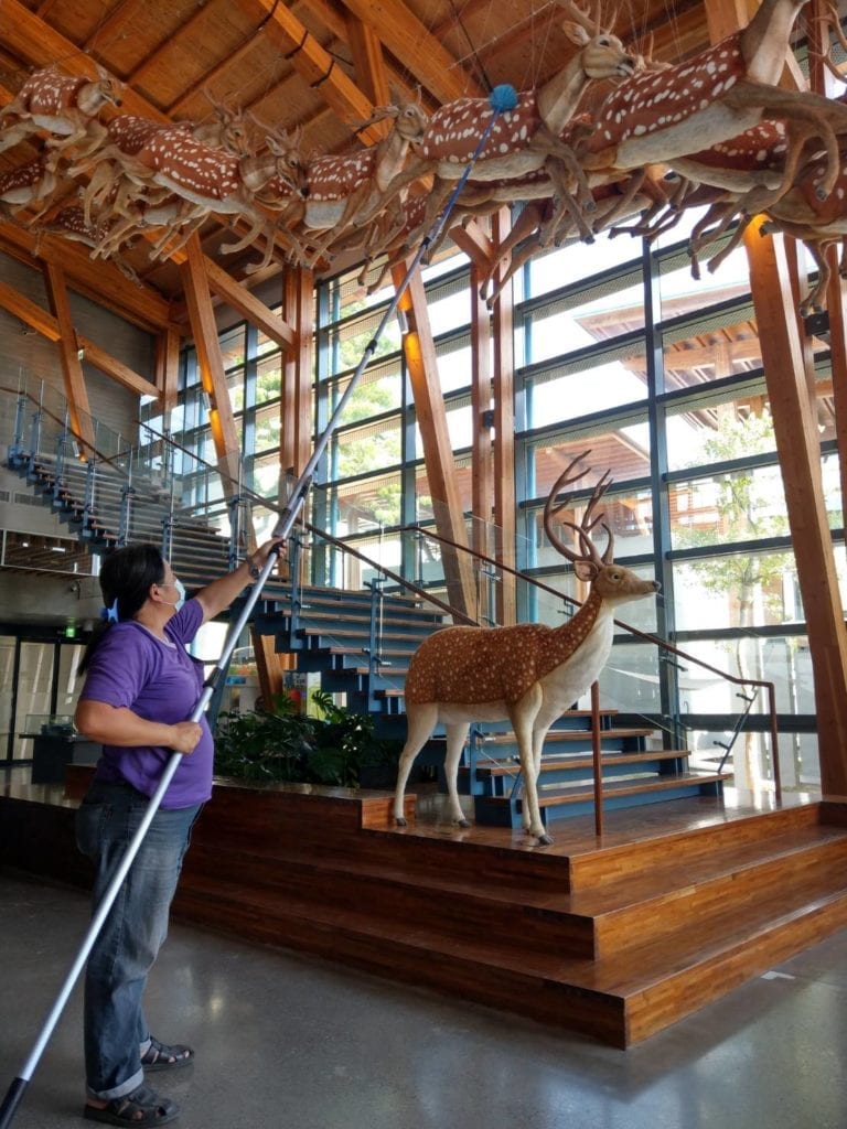 臺南左鎮化石園區因疫情閉館，加強館舍整備工作