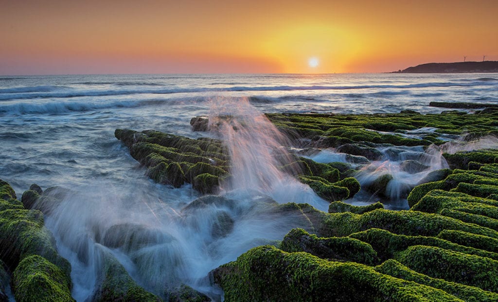 謝霖芬以攝影作品「春天的海岸」期盼大自然的美景，撫慰人心。
