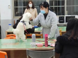 貓犬學校動態課程讓飼主帶毛孩現場互動