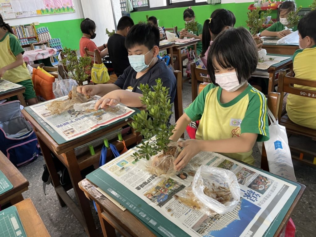 金山熊熊花圃捆苔熊體驗