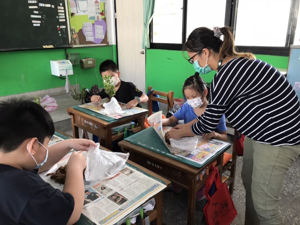 學童參加金山熊熊花圃捆苔熊體驗