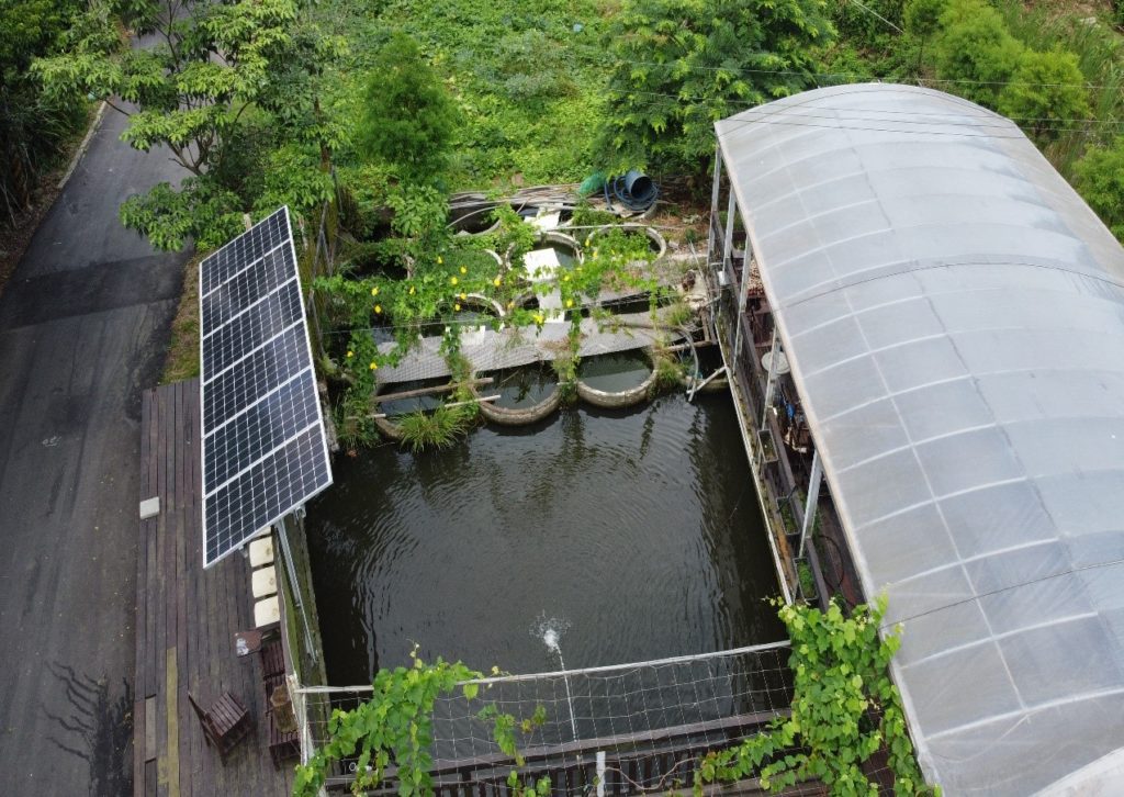 忠寮社區設置光電魚菜共生園區，推動循環經濟