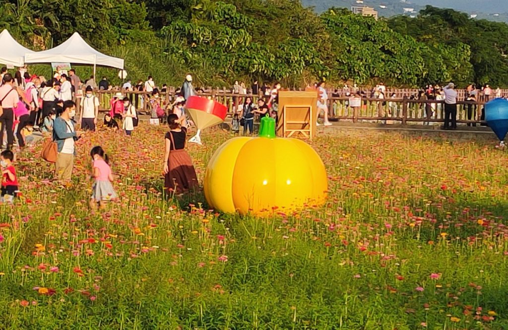 關渡花海的美景引人入勝，花卉嬌豔盡收眼底。（記者 辛澎祥/攝）