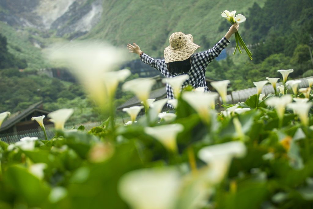 竹子湖休閒農業區-浪漫花海深受民眾喜愛。（圖/產業局提供）