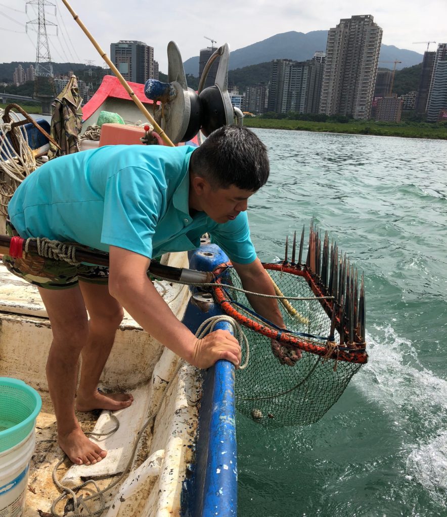 ▲從參與淡水河文蛤放流體驗中學習漁業文化。（圖/漁業處提供）