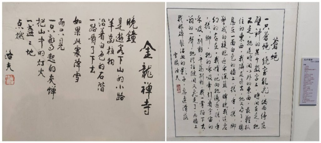 洛夫老師的書法作品之一二，（金龍禪寺）與（蒼蠅）。（記者 辛澎祥/攝）