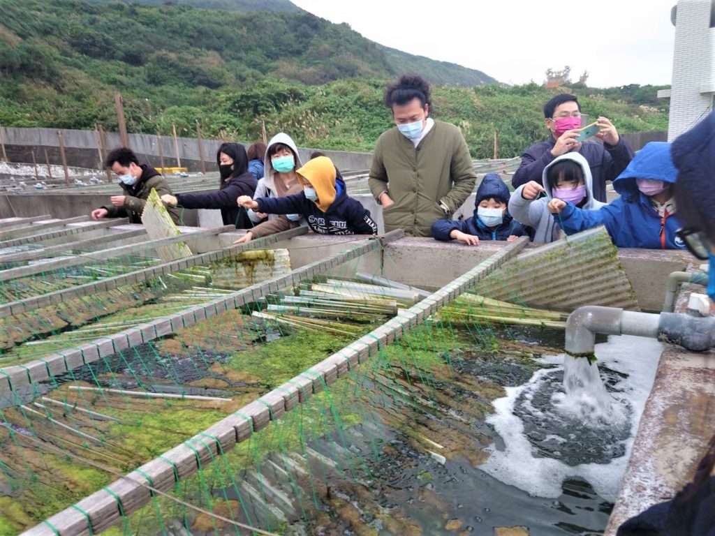 新北市貢寮區福連國小的師生們都聚精會神的觀察浪板上的九孔寶寶