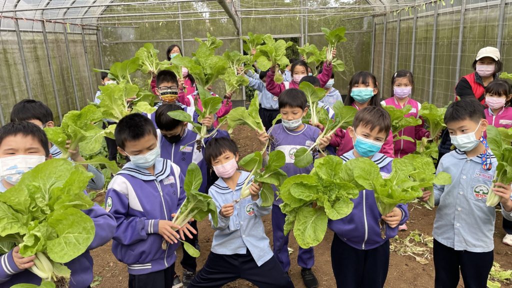 孩童在北新有機農場體驗採收有機蔬菜