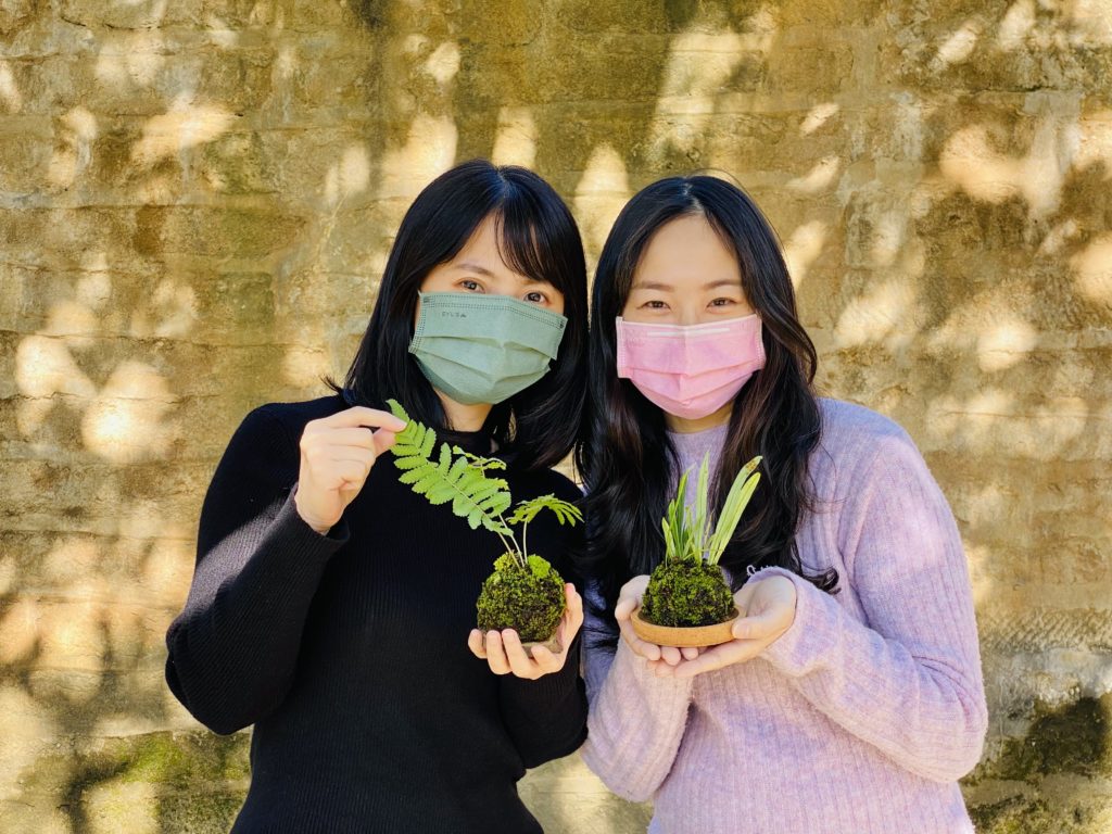 ▲淡水古蹟博物館將於19日14時至16時舉辦「國際森林日－古蹟療癒趣」滬尾礮臺生態體驗活動，帶領大家現地探訪，還能把充滿古蹟味的療癒植栽帶回家。(圖/淡古提供)