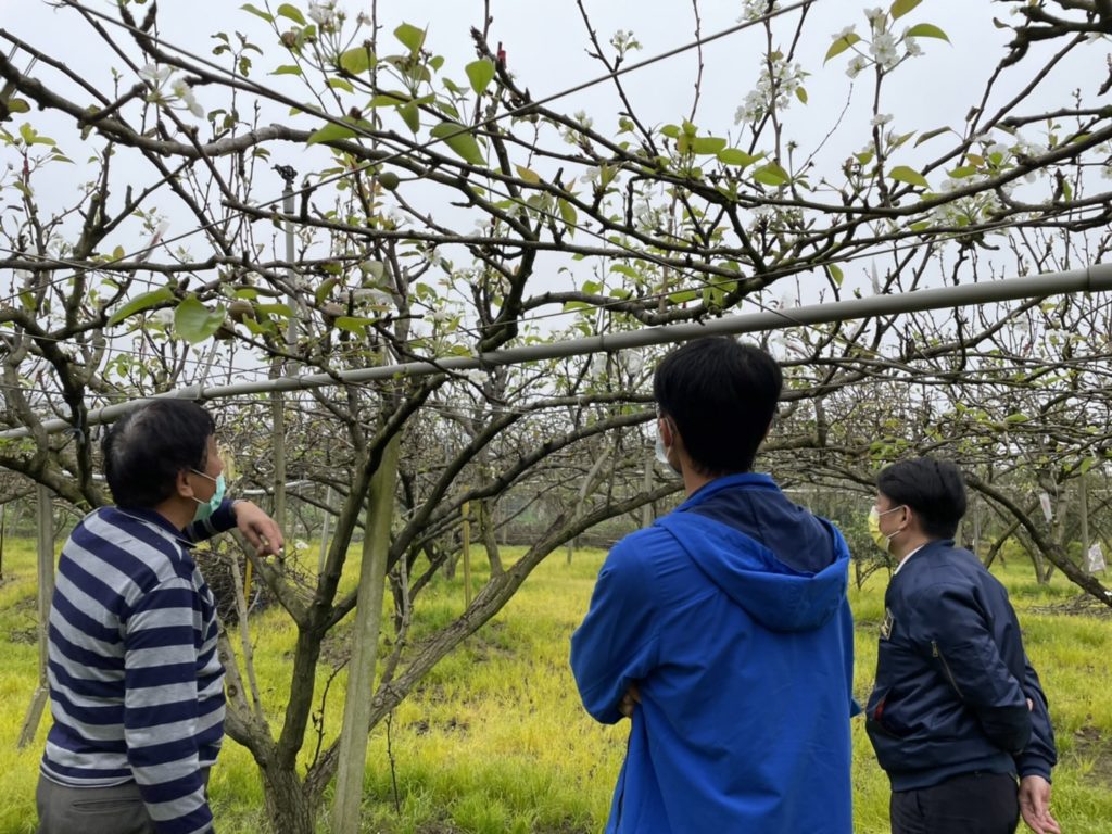 勘災小組赴受損果園進行勘災