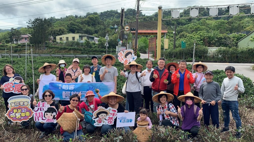 ▲延續綠茶季活動，帶領遊客體驗採茶與製茶過程。(圖/客家局提供)