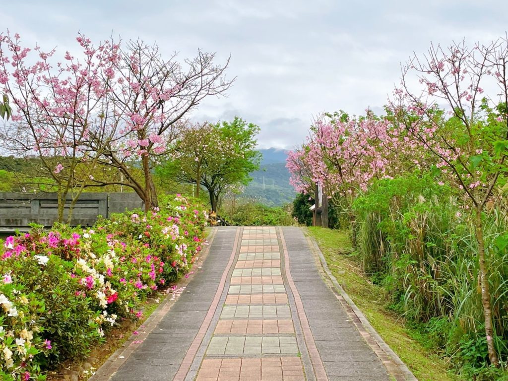 三生步道花況持續盛開至4月上旬