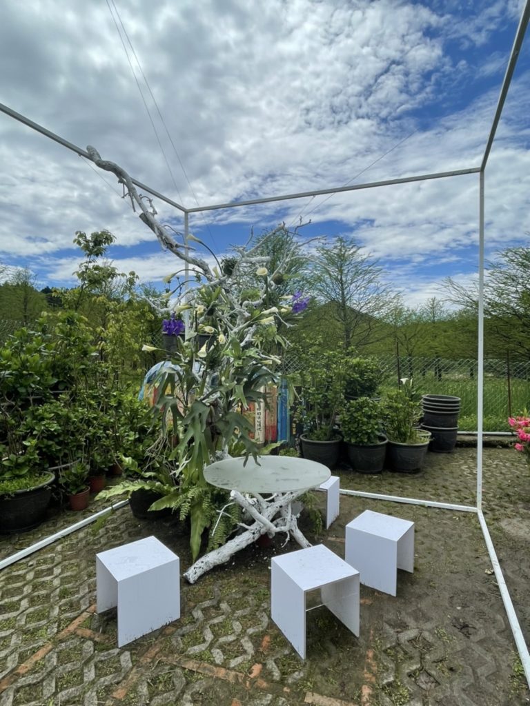 財福海芋田活潑的幾何造型花田餐桌可一覽無遺壯麗山景