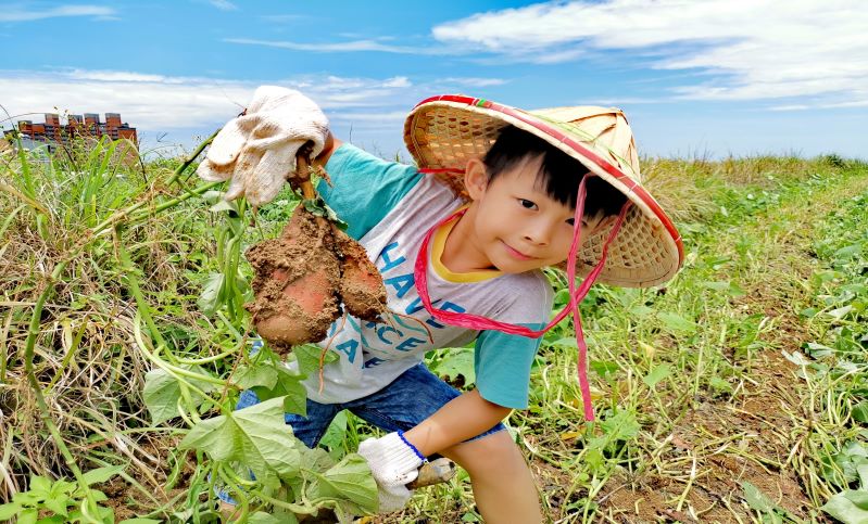 ▲經發局青春山海線伴手禮首創「買禮盒、送遊程」方案，帶領民眾暢遊北海岸風光 。(圖/經發局提供)