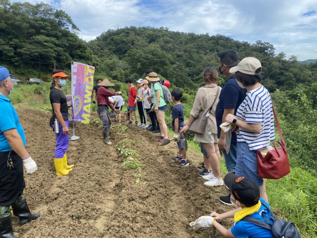 民眾參與種地瓜體驗情形