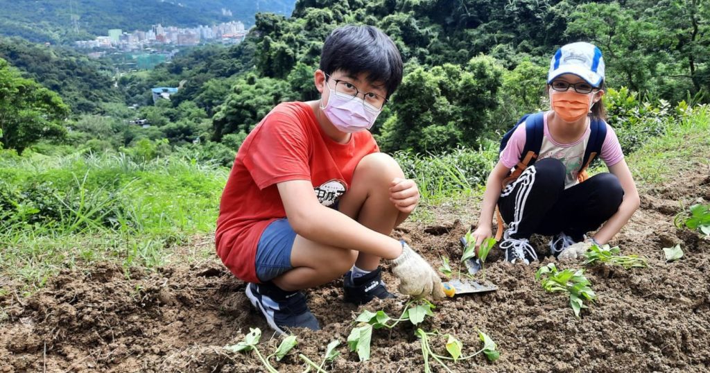 小朋友參加深坑農會所辦「種地瓜送愛心」活動，種植的地瓜之後將義賣