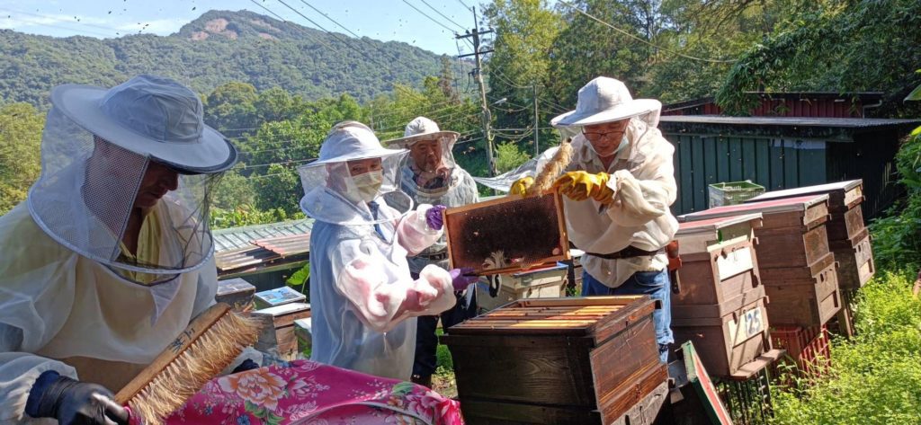 平溪農會春蜜來自福順生態養蜂場。（圖/新北農業局 提供）