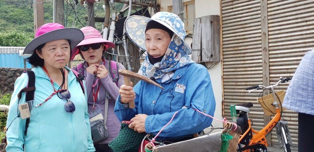 ▲新北漁民吳鳯嬌（中）的採集石花菜，是海女的典範。