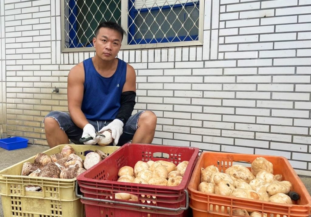 石門青農許允銘創造驚人的甘藷經濟。（圖/新北農業局 提供）