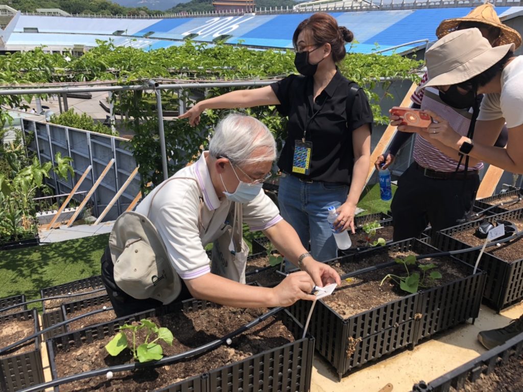 臺北植人__體驗都市田園栽種樂趣_(4)