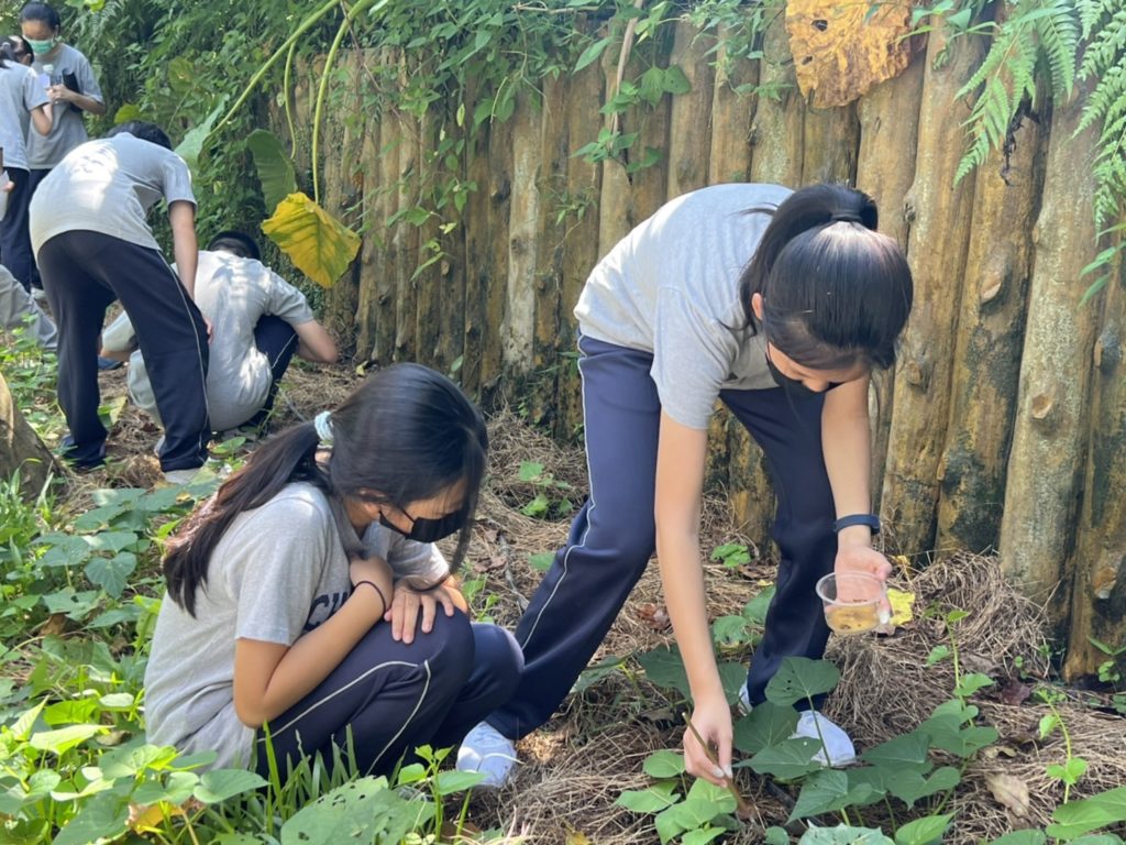 學生小心翼翼進行野放