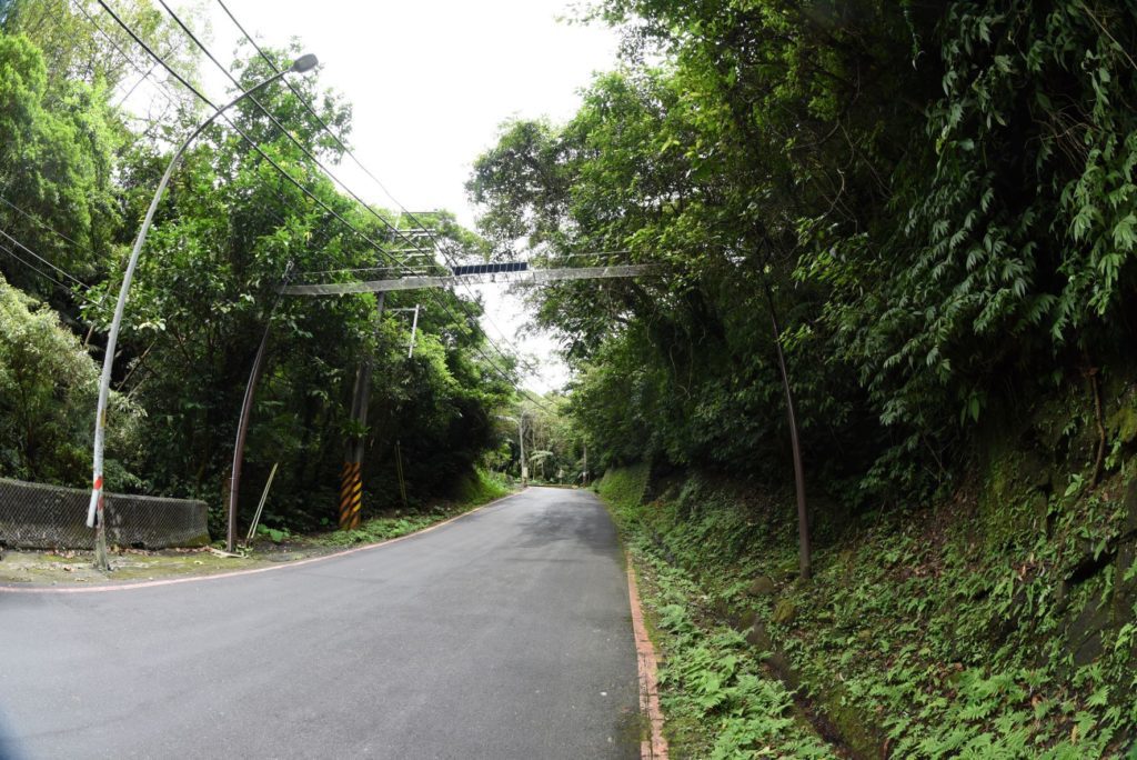 ▲打造生態廊道減少路殺是新北農業愛護動物的政策行動。（圖/新北農業局 提供）