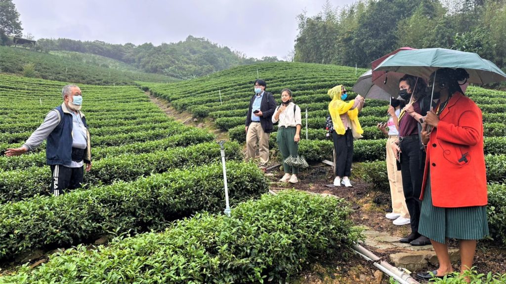 中南美洲友邦婦女參訪坪林茶園產地。（圖/新北農業局 提供）