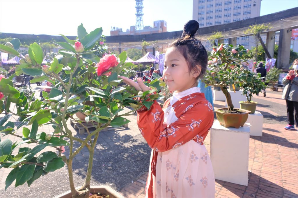 ▲竹縣茶花季今年首度結合漢服，也吸引全台熱愛漢服的鄉親參與。（圖/竹縣文化局 提供