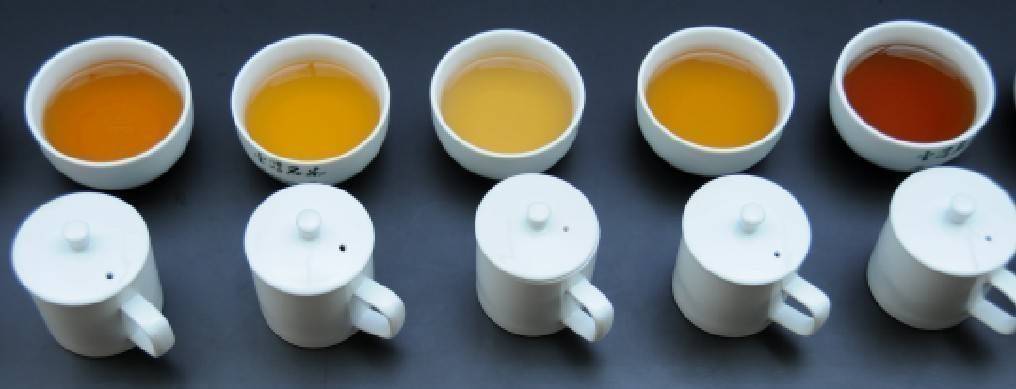▲各種茶類都有其色香味形質等的共通性與特殊性。（圖/賴正南 提供）