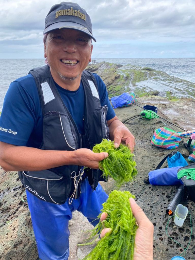 黑毛最喜歡食海藻