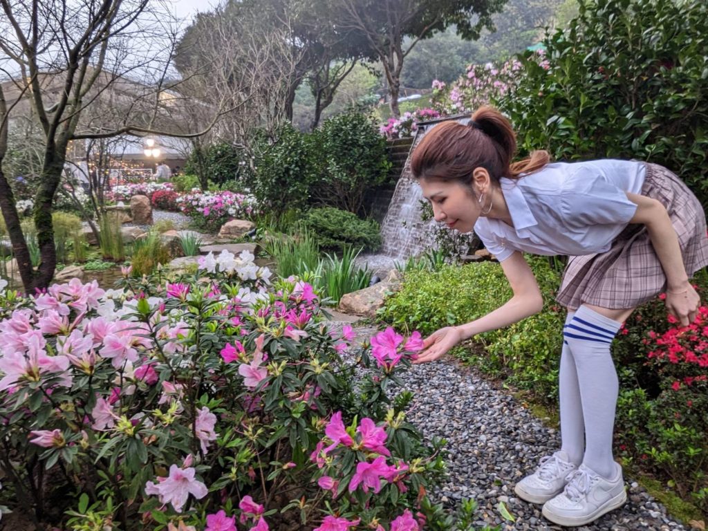 今年度萬金杜鵑花展以在地的杜鵑、生態植物、流水、景石打造全台最美的賞杜鵑秘境與「湧萬金」噴泉。（圖/農業局提供）