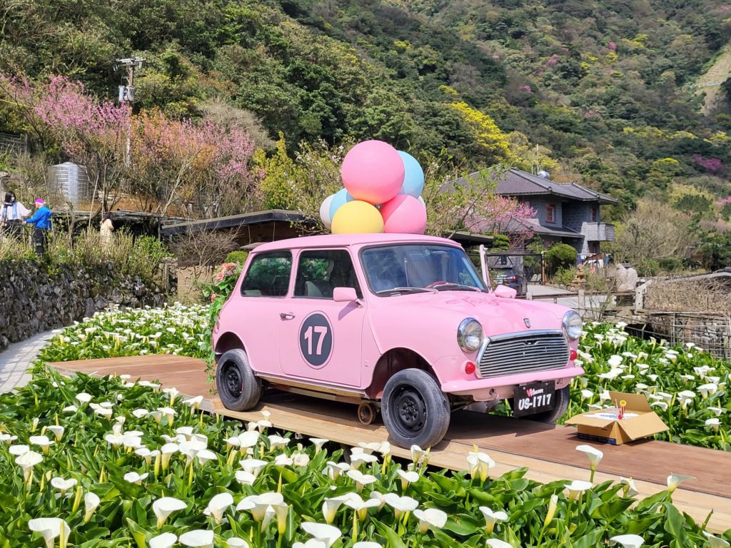 ▲海芋景觀的美讓生活充滿詩情畫意。（圖/台北市產發局 提供）