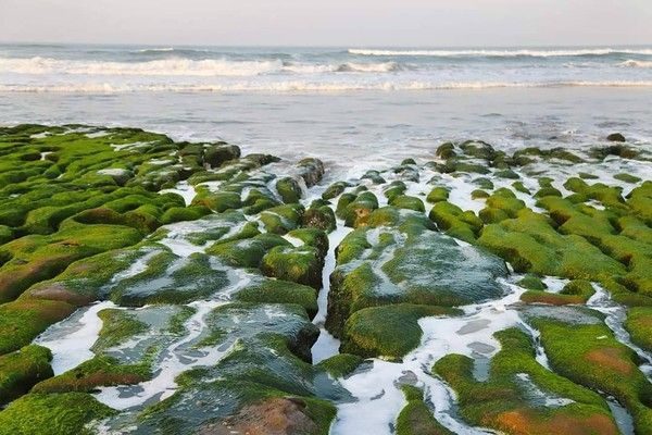 ▲老梅綠石槽的海景格外怡人。（圖/新北漁業處 提供）