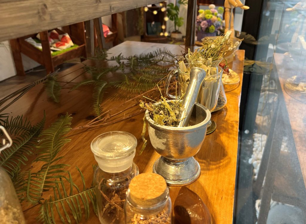 ▲室內植物栽培產生的質感,讓自己與植物的對話受到重視。(圖/史博館 提供)